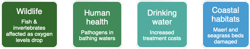 Poor water quality affects us in these ways